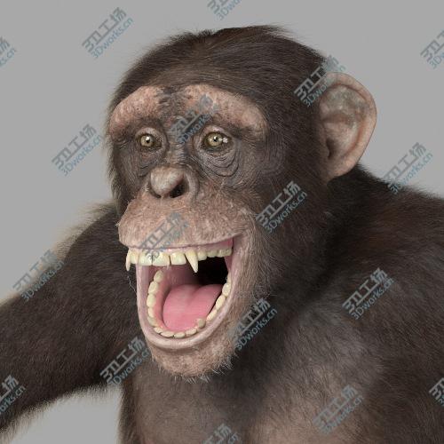 images/goods_img/20210113/Chimpanzee - realistic/1.jpg